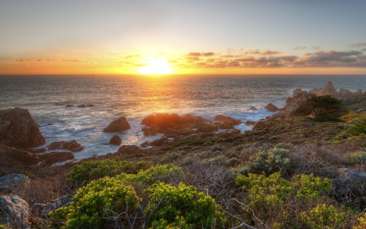 507843 (a): :2560x1600